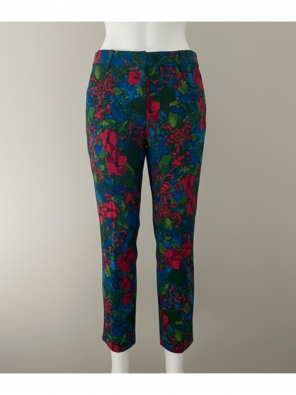 Zara Z1975 Floral Print Pants Women’s Size 6 Blue Green Red